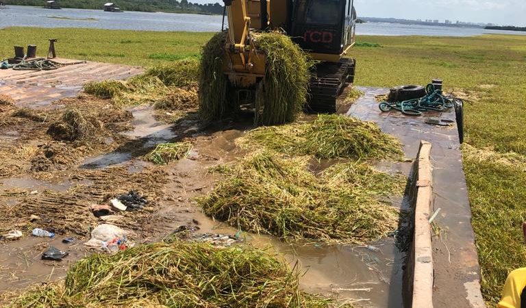 *Por intermédio de Peixoto, Semulsp realiza limpeza do Tarumã Mirim* _Trabalhadores da Acamdaf procuraram o parlamentar para intervir na limpeza do rio_