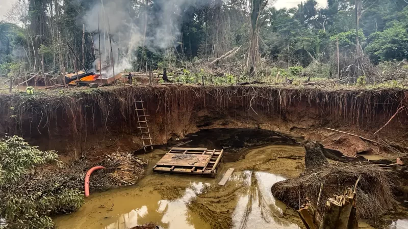 PF e ICMBio desativam garimpos ilegais no Pará