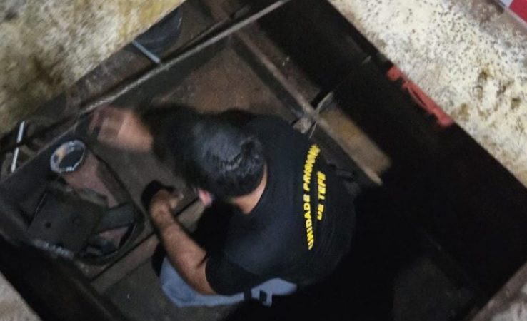 Operação resulta na apreensão de 12 quilos de maconha tipo skunk em Barcelos, no Amazonas