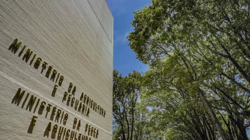Ministério da Pesca e Aquicultura terá concurso para 264 temporários