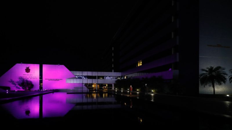 Fevereiro Roxo: Conheça as ações de conscientização e leis produzidas pela Aleam sobre o tema