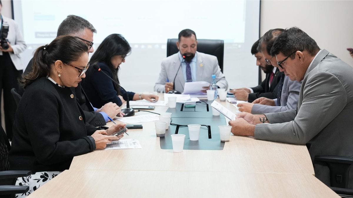 2ª Comissão de Constituição, Justiça e Redação realiza segunda Reunião Ordinária