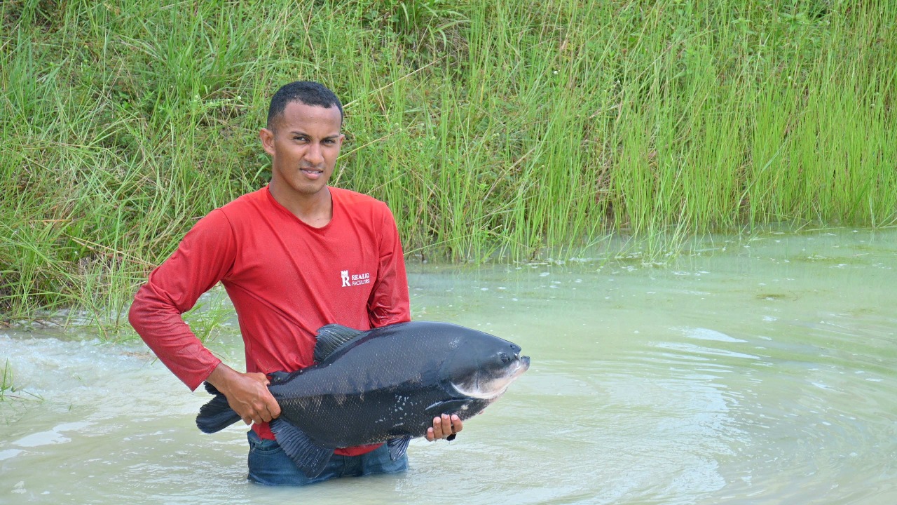 Fim do defeso do tambaqui no Amazonas permite retomada da pesca a partir de 1º de Abril