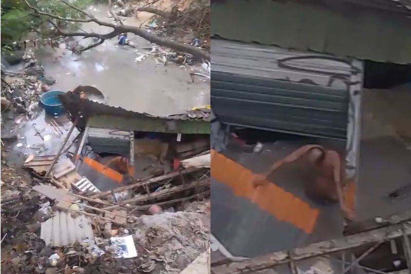 Casa desaba e dois moradores ficam feridos durante chuva em Manaus