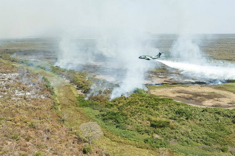Amazonas registra menor incidência de focos de incêndio em março de 2025