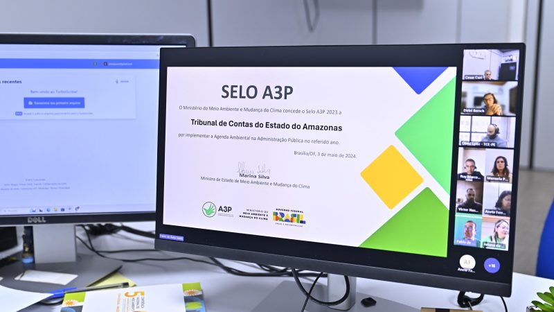 TCE-AM marca presença em reunião virtual do Comitê de Sustentabilidade do IRB e Ministério do Meio Ambiente
