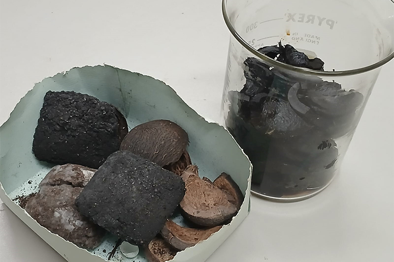 Carvão a partir de açaí e tucumã serve para o churrasco e a geração de energia