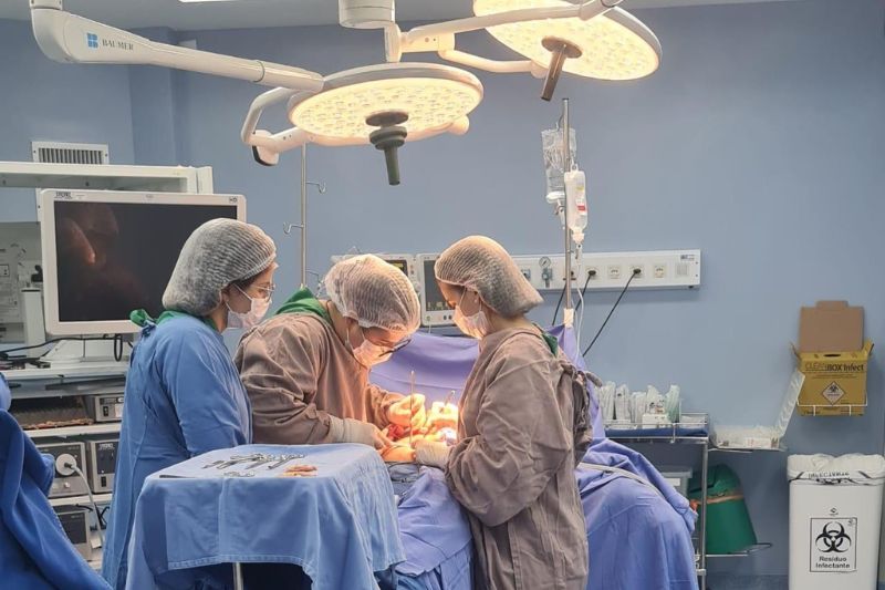 Cirurgias de apêndice, vesícula e hérnia são maioria no SUS no AM