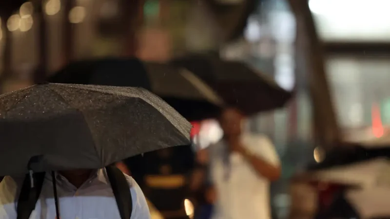 Água da chuva pode estar contaminada por agrotóxico, diz estudo