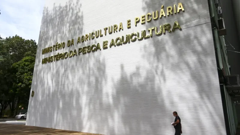 Sete casos de doenças respiratórias em aves são investigados no país