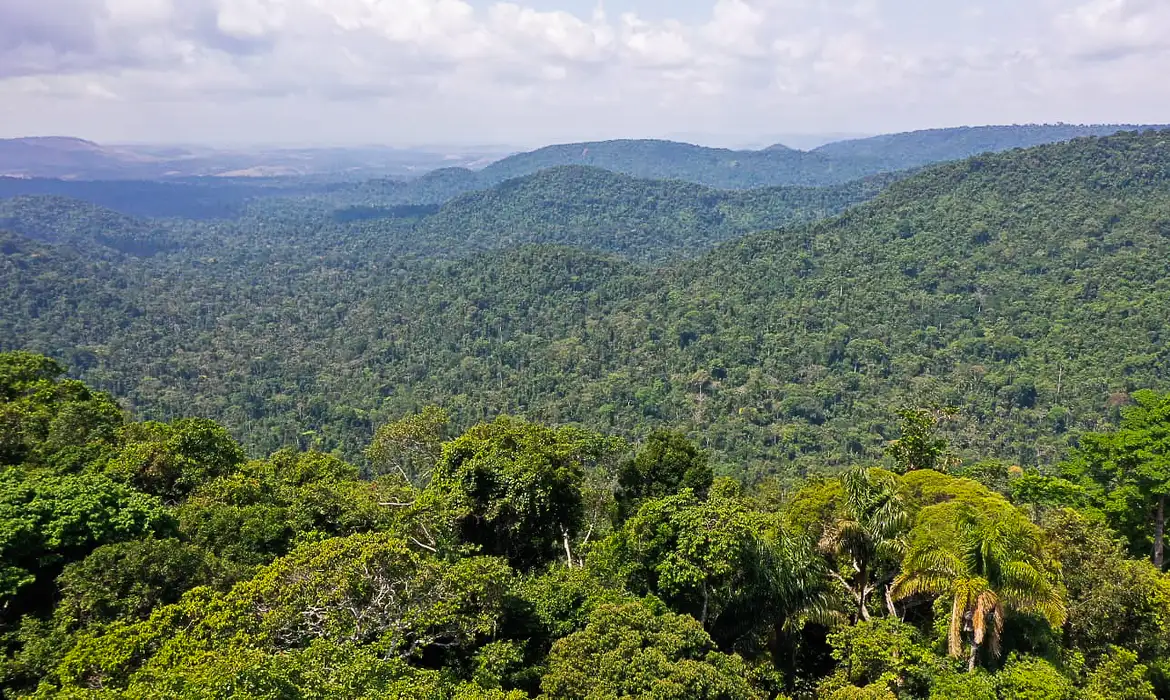 Instituto lança edital para projetos que protejam a Amazônia