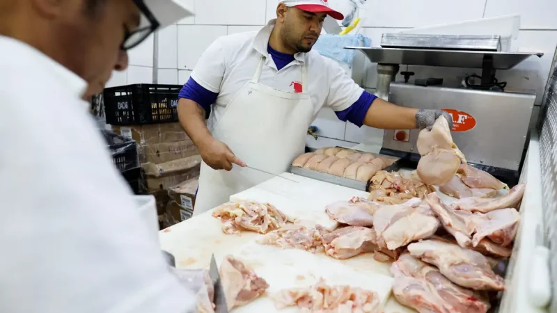 Gripe aviária: 17 países suspendem restrição à carne brasileira