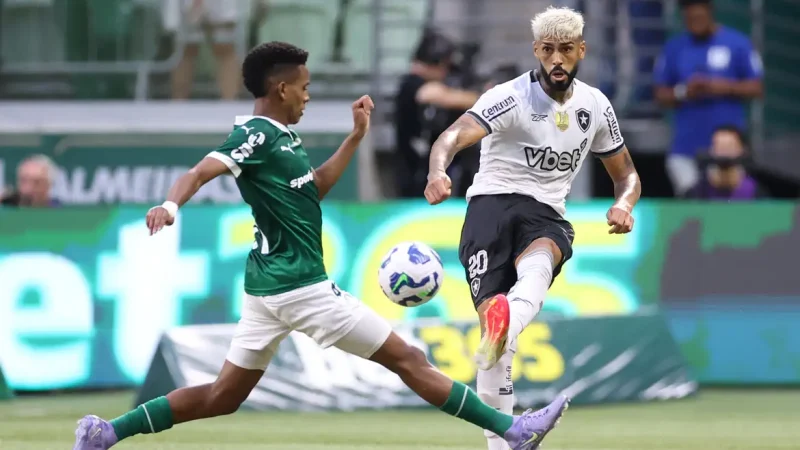 Palmeiras elimina Botafogo e avança na Copa do Mundo de Clubes da Fifa