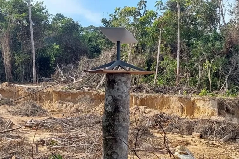 Starlink vai bloquear internet usada por garimpo ilegal na Amazônia