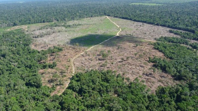 Câmara dos Deputados aprova ‘PL da Devastação’ sobre novo licenciamento ambiental
