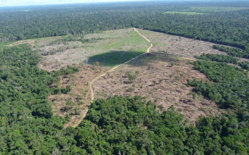 Câmara dos Deputados aprova ‘PL da Devastação’ sobre novo licenciamento ambiental