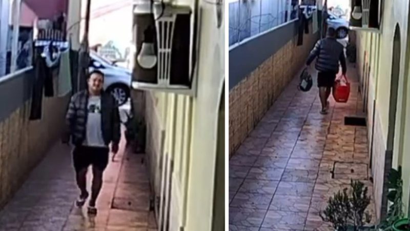 Suspeito de furto é preso após esbarrar em cavalo da PM no Centro de Manaus