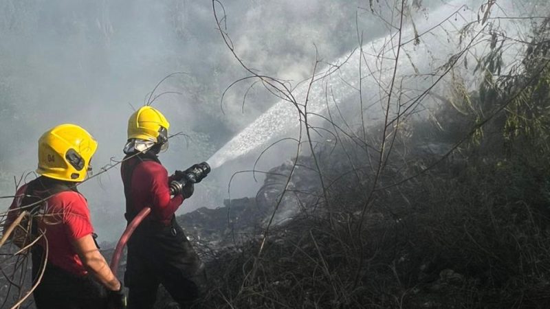 Em 10 dias, Corpo de Bombeiros atendeu 53 ocorrências de incêndio em vegetação urbana e lixeiras clandestinas em Manaus