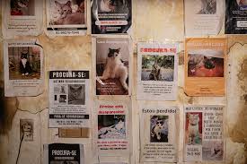 ‘Mata-Gato’: Curta-metragem de André Cunha estreia com sessão especial no Teatro Gebes Medeiros