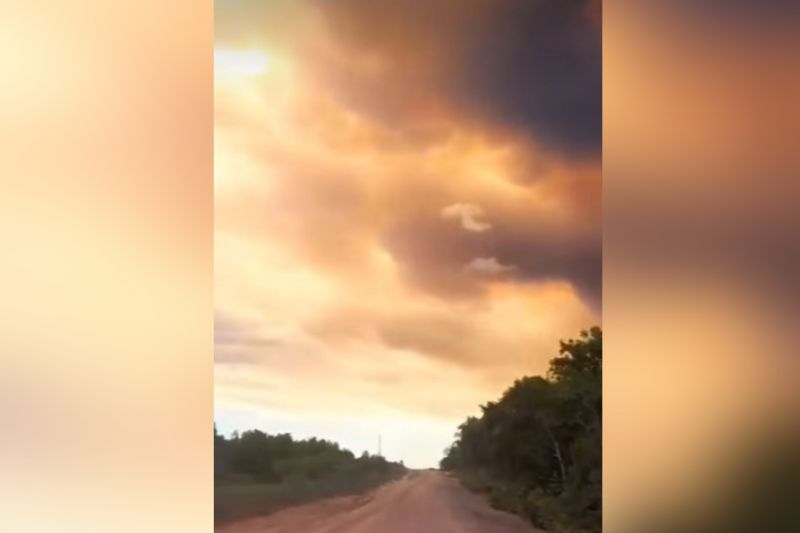 Municípios do Sul do AM têm qualidade do ar ruim, registra o Selva