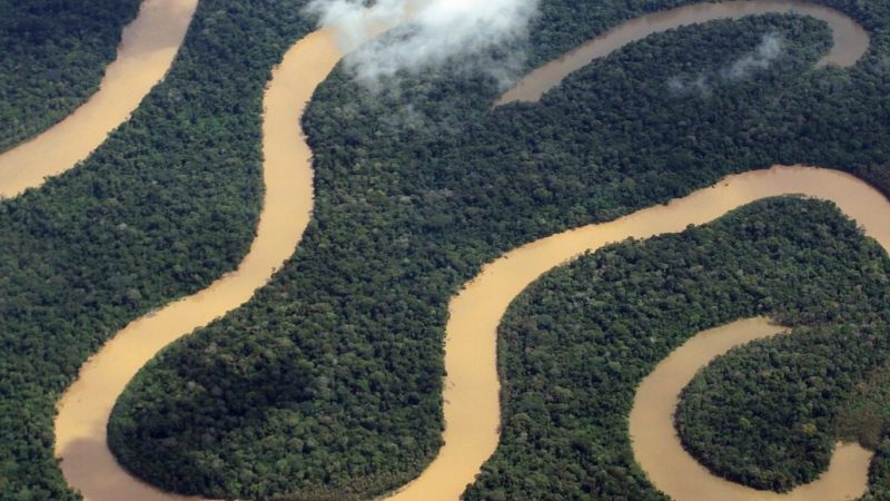 Amazonas tem queda de 93,4% nos registros de focos de calor em julho de 2025