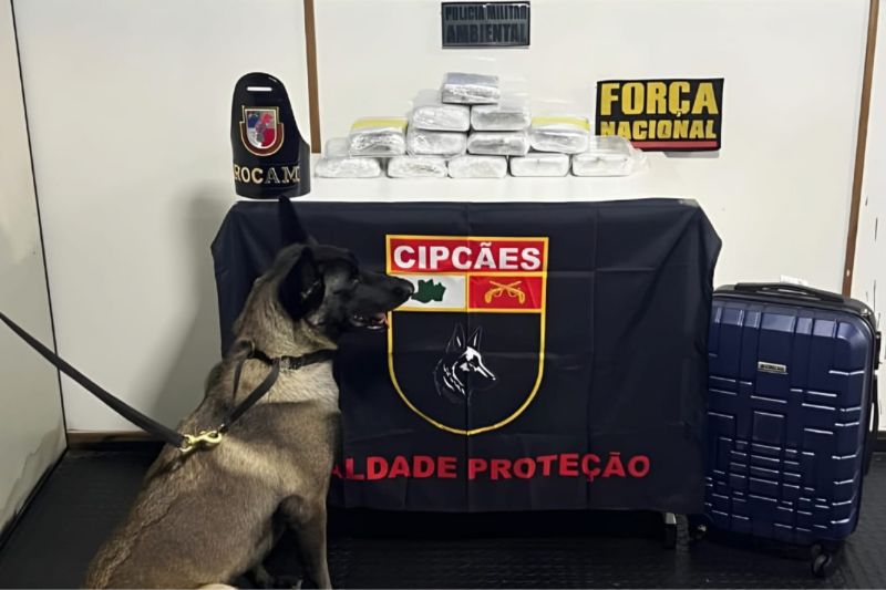 Cadela fareja droga em barco e policiais encontram pasta-base de cocaína em malas