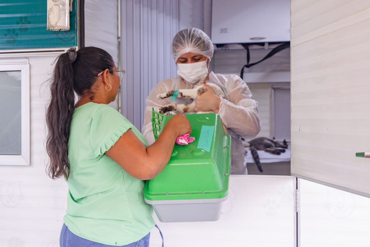 Manaus oferta 320 vagas para castração gratuita de cães e gatos na Zona Norte; saiba como agendar