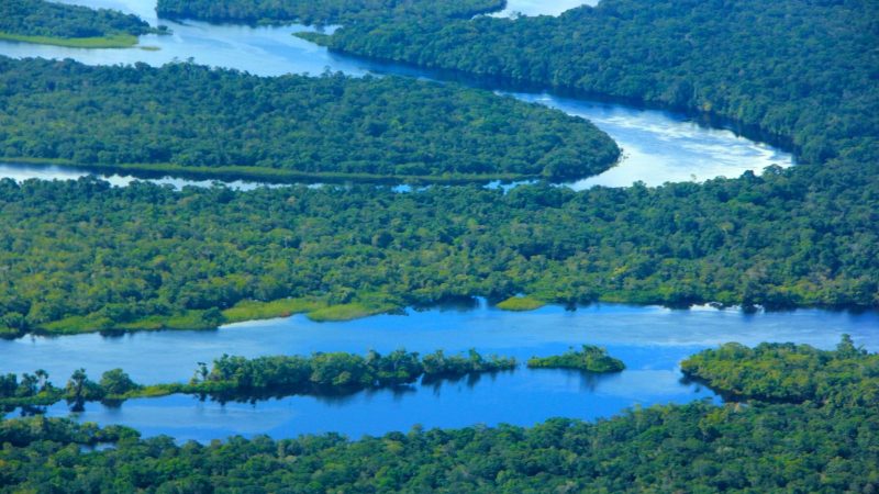 Agosto: focos de calor no Amazonas caem ao nível mais baixo desde 2011 e desmatamento diminui