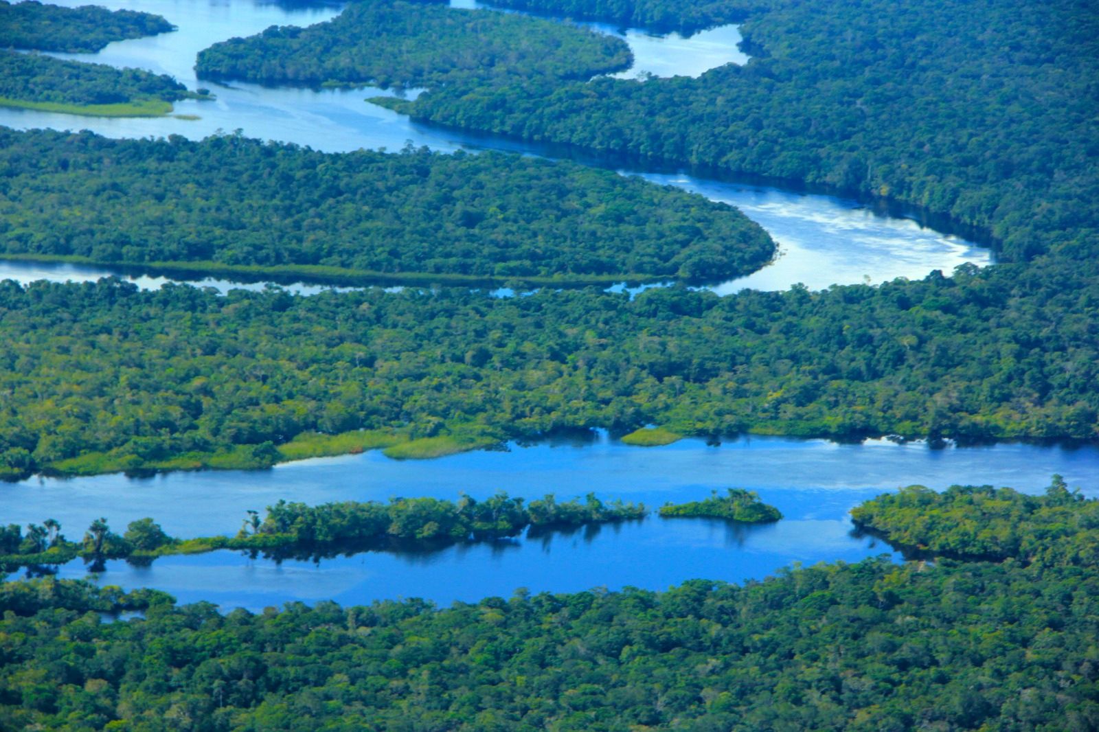 Agosto: focos de calor no Amazonas caem ao nível mais baixo desde 2011 e desmatamento diminui