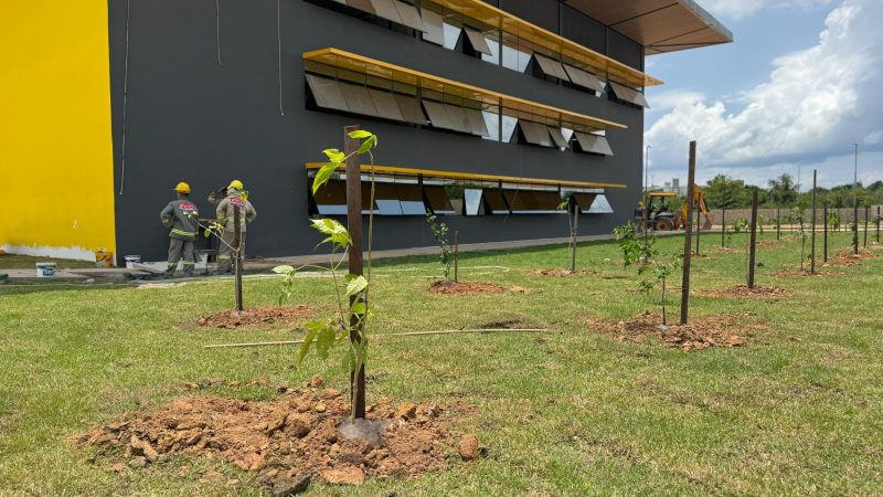 Nova sede do Implurb recebe plantio de mais de 260 árvores nativas e brasileiras pela Prefeitura de Manaus