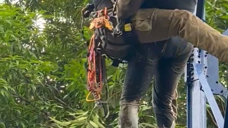 Bombeiros resgatam homens presos em caixa d’água a 20 metros de altura após intoxicação por solvente durante pintura