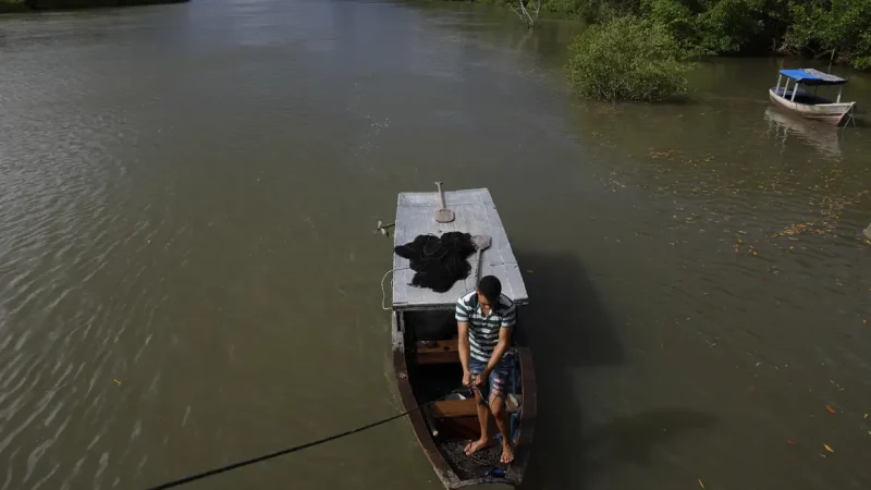 Seguro-defeso do pescador artesanal terá novas regras em outubro