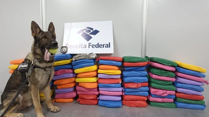 Receita Federal apreende 80 quilos de maconha no aeroporto de Manaus