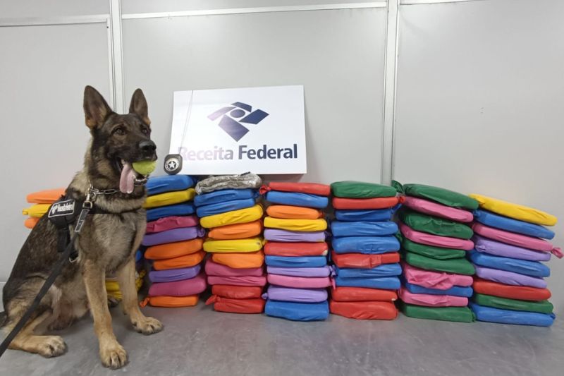Receita Federal apreende 80 quilos de maconha no aeroporto de Manaus