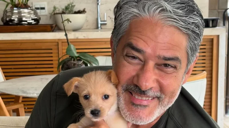 Jornal Nacional dispara na audiência com despedida de William Bonner