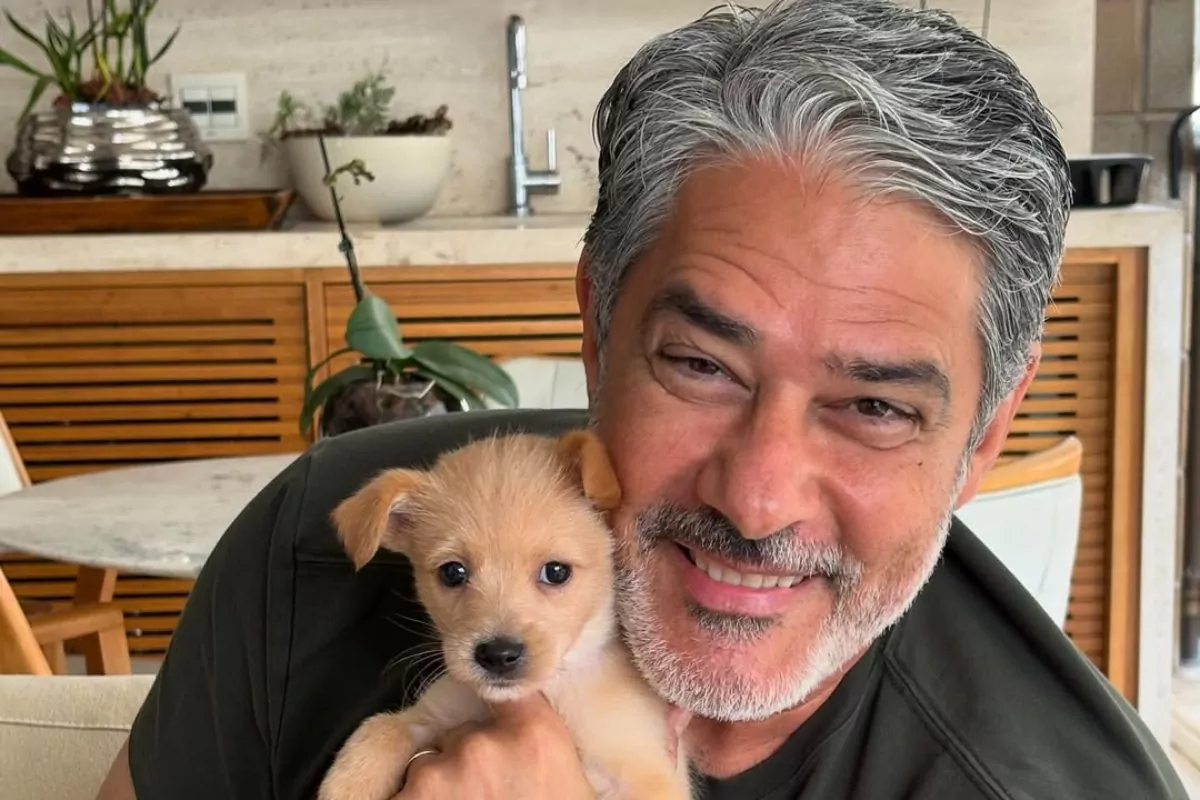 Jornal Nacional dispara na audiência com despedida de William Bonner