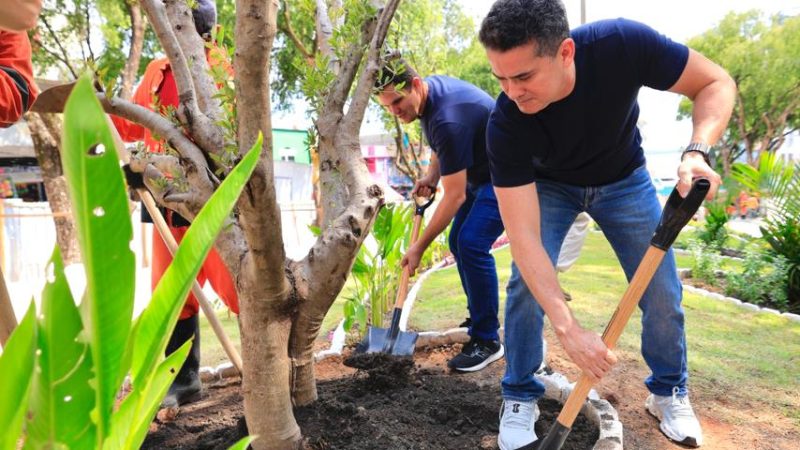 Prefeito David Almeida e vice Renato Junior realizam plantio de oliveiras na fase final do restauro da praça dos Remédios e destacam cuidado histórico e social no Centro