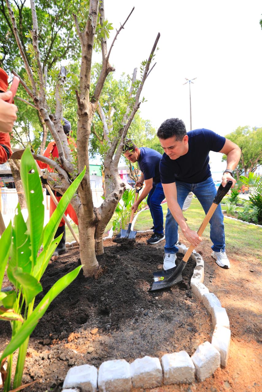 Prefeito David Almeida e vice Renato Junior realizam plantio de oliveiras na fase final do restauro da praça dos Remédios e destacam cuidado histórico e social no Centro