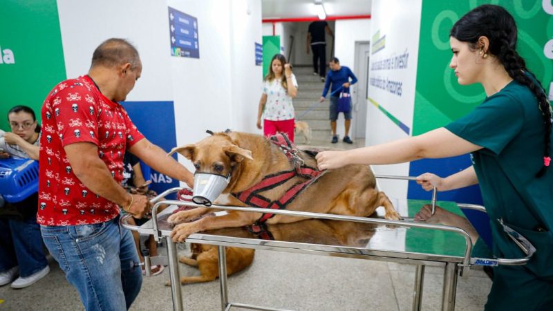 Governador Wilson Lima destaca mais de 3 mil procedimentos na primeira semana do Hospital Público Veterinário do Amazonas