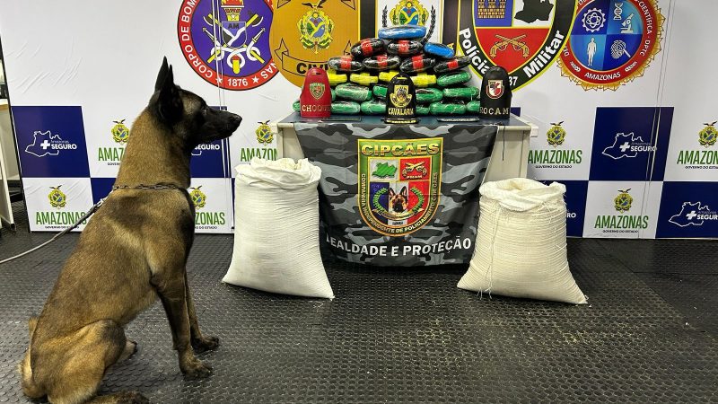 Líder na região norte, Amazonas é o 6° estado que mais apreende drogas no país