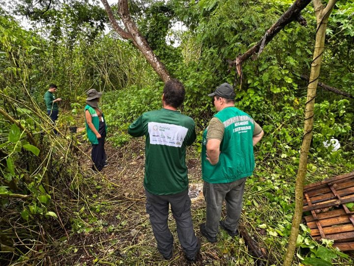Prefeitura e Idesam lançam projeto para restaurar 70 hectares em Unidades de Conservação de Manaus