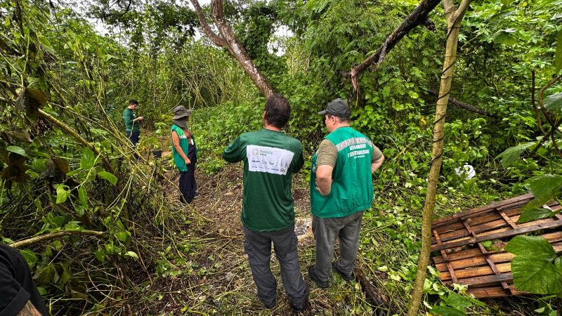 Prefeitura e Idesam lançam projeto para restaurar 70 hectares em Unidades de Conservação de Manaus