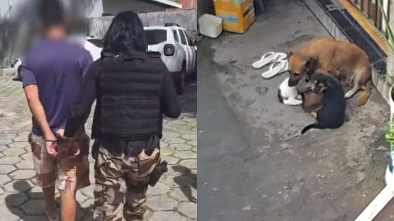 Homem denuncia companheiro por maus-tratos a cães em Manaus