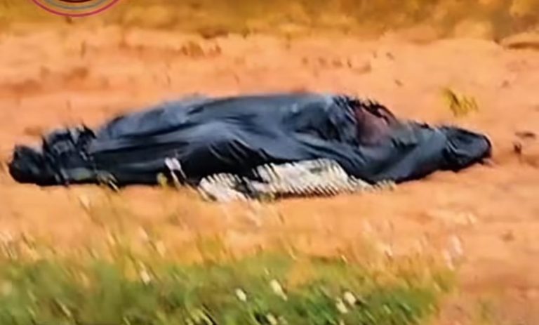 Trabalhadores encontram corpo desovado em estrada no Amazonas