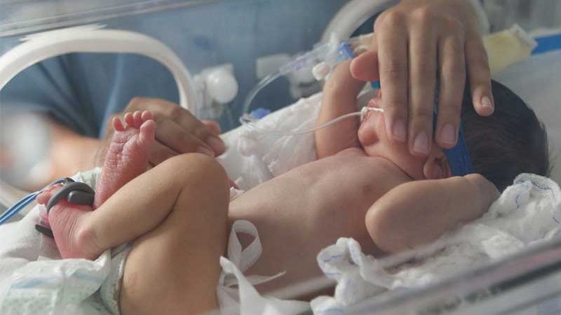 CNJ lança cartilha sobre doação voluntária logo após o nascimento