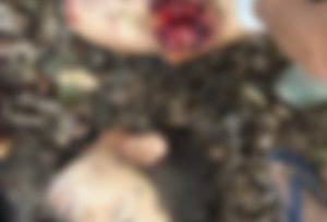 Corpo de homem é encontrado decapitado em matagal no Amazonas