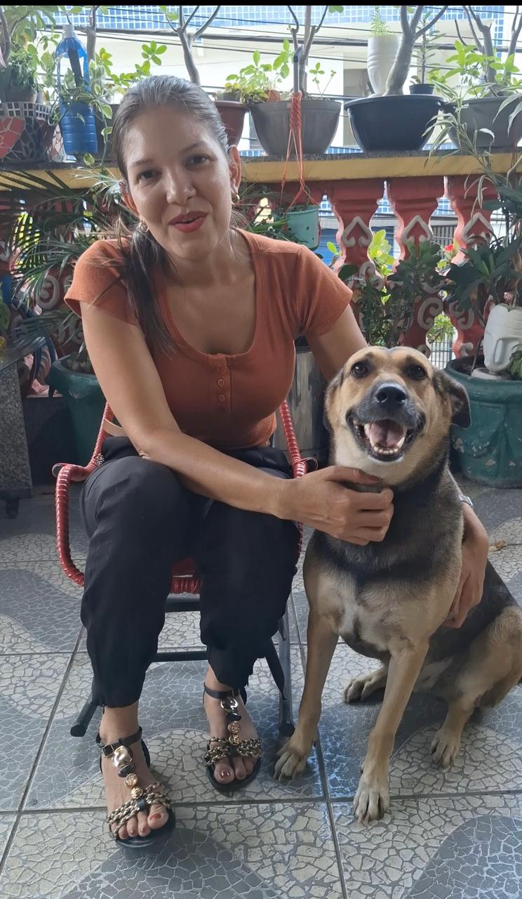 Cachorro fica com a cabeça presa em mureta de residência e Bombeiros são acionados para o resgate