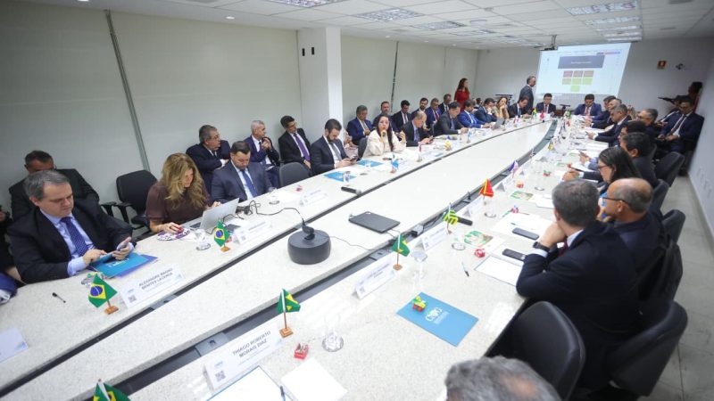 Procuradora-geral do MPAM assume coordenação do eixo de Direitos Humanos do CNPG