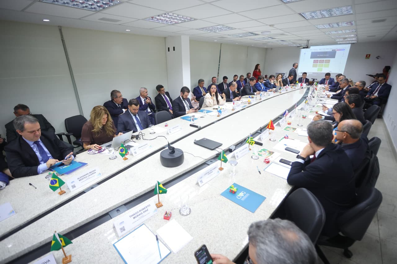 Procuradora-geral do MPAM assume coordenação do eixo de Direitos Humanos do CNPG