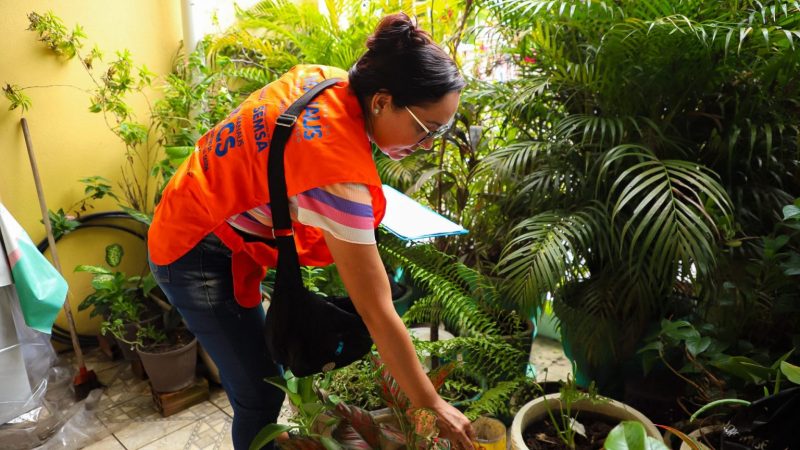 Prefeitura alerta sobre cuidados para prevenção a acidentes com animais peçonhentos em Manaus